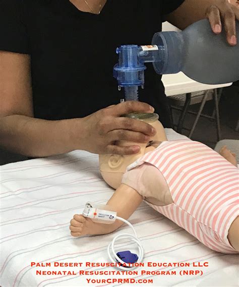 Neonatal Resuscitation Program (NRP) PPV - Palm Desert CPR Classes ...
