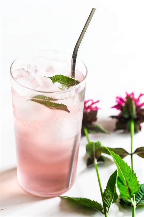 How to Make Bee Balm Tea • The View from Great Island