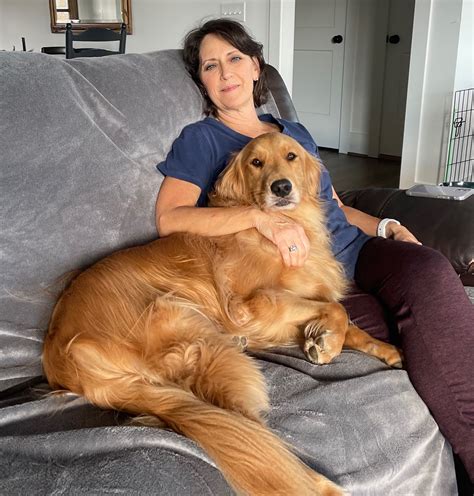 Past Adoptions Archive - Adopt a Golden Birmingham