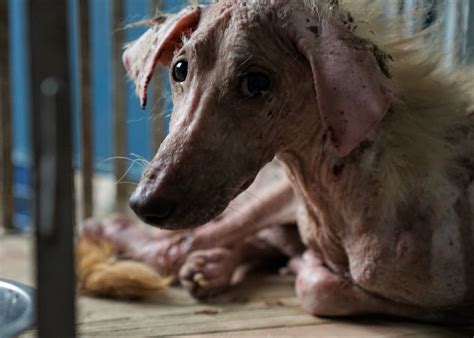 As It Happens: Taal Volcano updates | Philstar.com