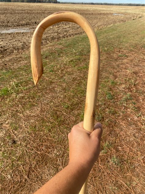 Shepherd's Crook Shepherds Staff Stockmans Cane Solid - Etsy