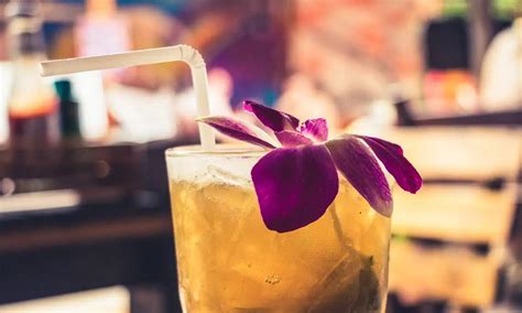 Discover the Charm of Tourism in Argelès-sur-Mer - Unforgettable Summer ...