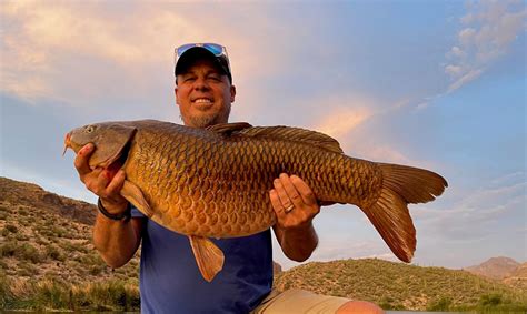 Dogtown Lake Fish Report - Williams, AZ (Coconino County)