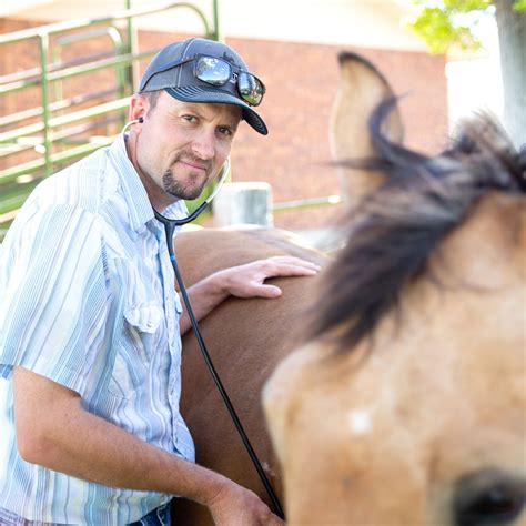 Large Animal | Bear River Animal Hospital