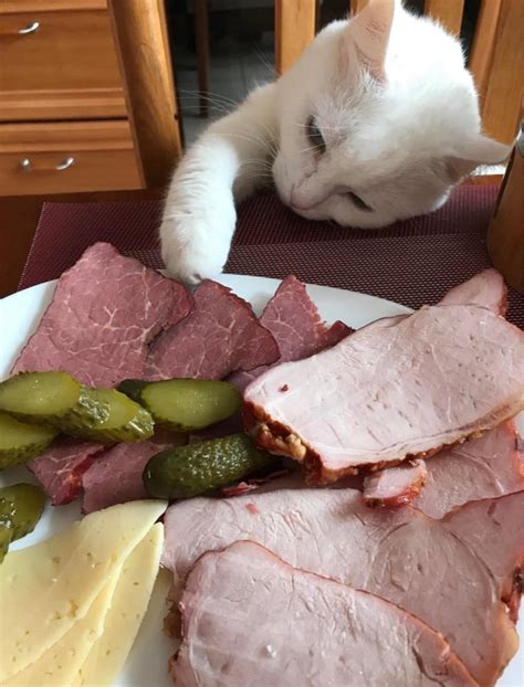 Melissa Johnson, the first streaker at Wimbledon Stadium, at the men's ...