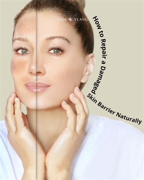 How to Repair a Damaged Skin Barrier | Expert Skincare Tips