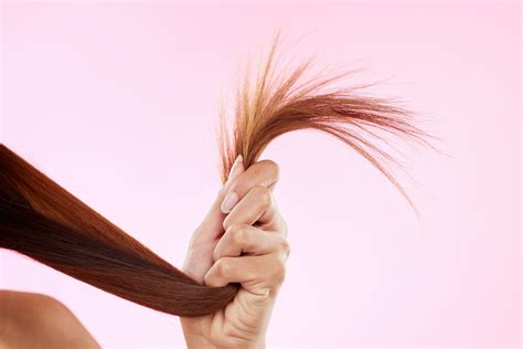 The Ultimate Guide to Preventing and Treating Split Ends - Pucker Up Beauty