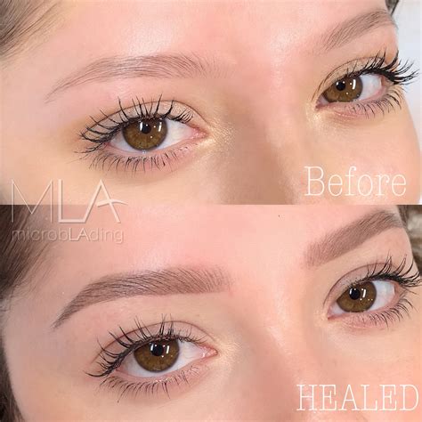 What Is A Powder Brow Procedure at Logan Rafael blog