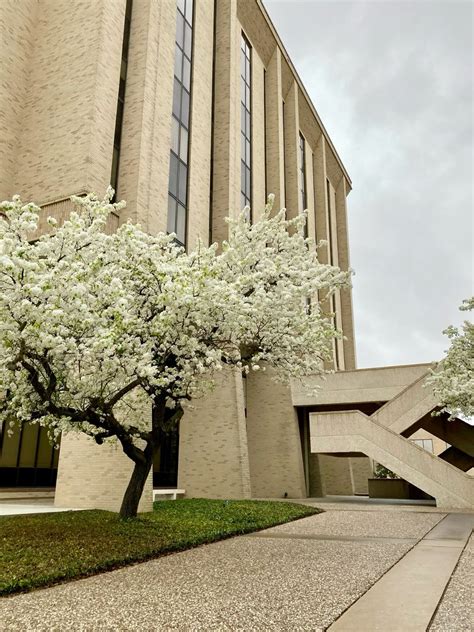 Texas A&M University Campus