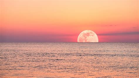 Strawberry Moon 2024: See summer's first full moon rise a day after ...