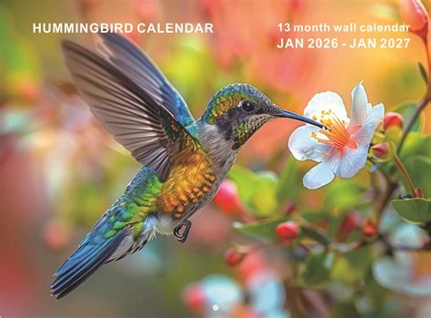 Hummingbird Wall Calendar 2026-2027,Vertical Wall Calendar,January 2026 ...