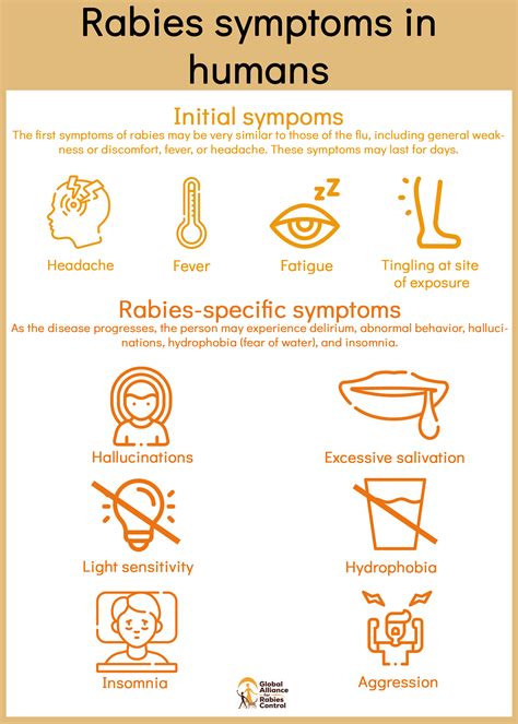 How Long Until Rabies Symptoms Show