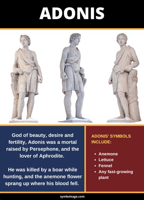 The Story of Adonis: Greek Mythology's Handsome Mortal - Symbol Sage