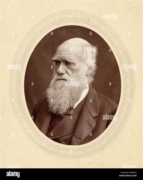 10 Things To Know About Charles Darwin'S Death - AWBR
