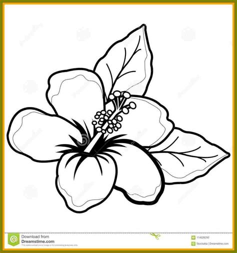 Hawaiian Flower Drawing at PaintingValley.com | Explore collection of ...