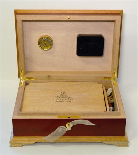 Diplomatic In Sentence