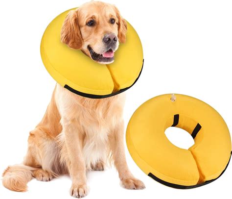 Alternative to Elizabethan Dog Collar [Top 6 Picks] - Dogcattalk