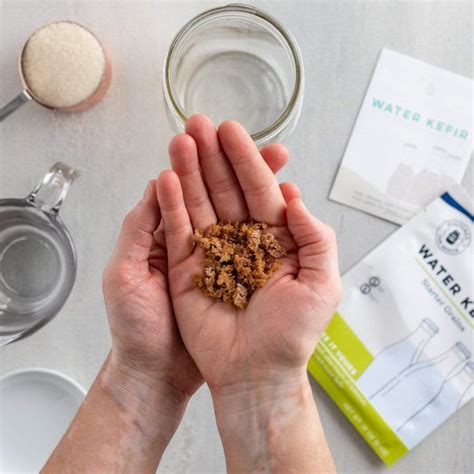 Water Kefir Grains | Order Kefir Water Grains to Start your Own Water ...