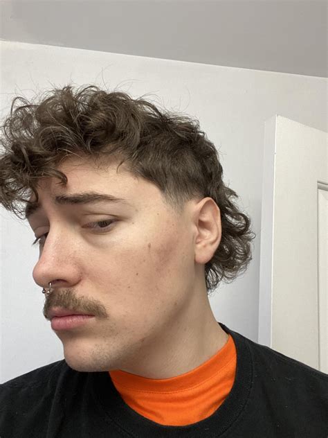 Finally decided to go with the mullet I’ve wanted to try for a while ...