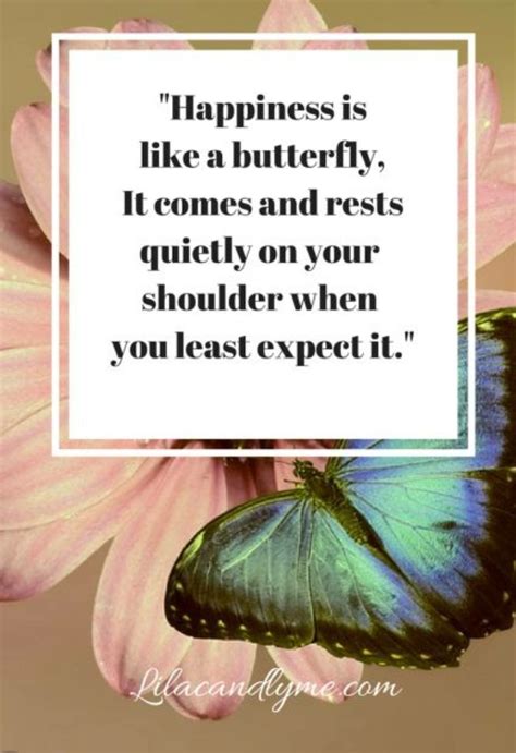 Butterfly Meaning Quotes at Ruben Connor blog