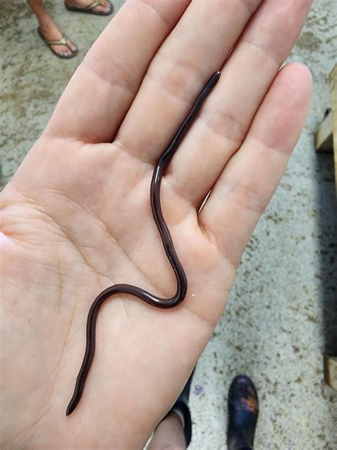 hello i have a bp and i was sitting on my bed drawing and looked over ...