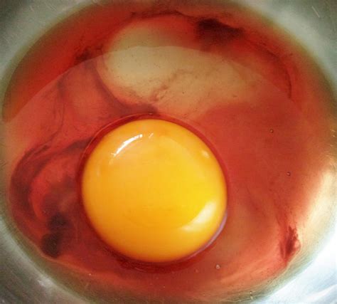 What Causes Bloody Eggs at Jennie Wilson blog