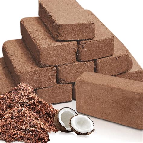 Amazon.com : Coco Coir Brick for Plants, 12 Packs 100% Natural Organic ...