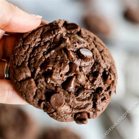 Devil's Food Cake Cookies · Easy Family Recipes