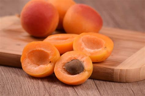 Can Cats Eat Nectarines? Vet Approved Nutritional Facts & FAQ - Catster