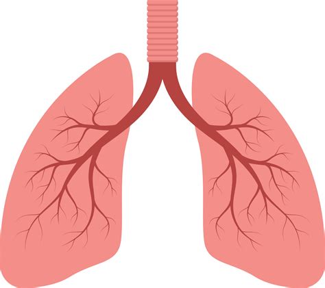 Lung clipart design illustration 9303620 PNG