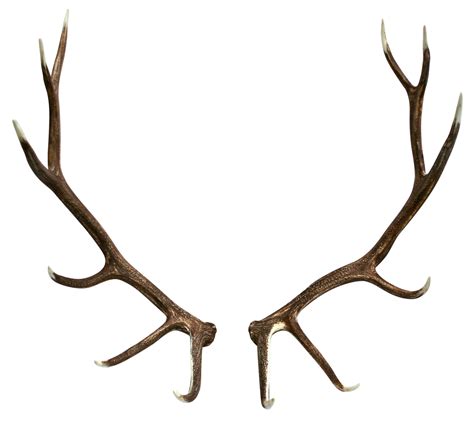 Free Skull Antlers Cliparts, Download Free Skull Antlers Cliparts png images, Free ClipArts on ...