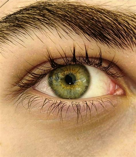 left eye, green and gold Beautiful Eyes Color, Stunning Eyes, Pretty ...