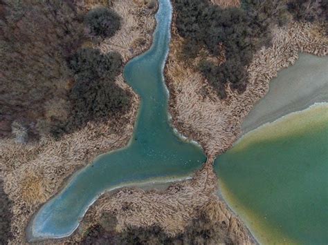 Blue Earth County Jail Roster PDF - Latest Inmate List