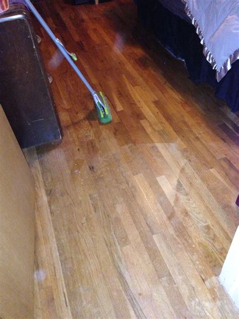 How To Remove Old Pet Stains From Hardwood Floors - Flooring Designs