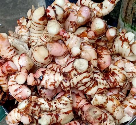 Langkawas/Galangal/blue ginger/lankuas 250g,500g,1kg | Lazada PH