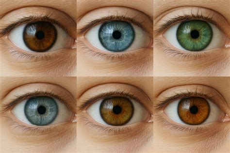 Colores De Ojos