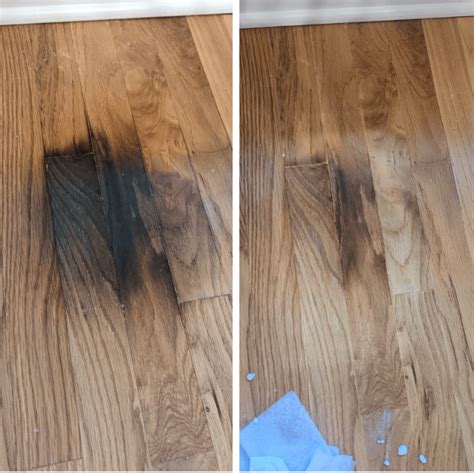 Can Dog Pee Ruin Hardwood Floors