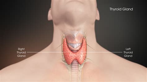 Throat Lump: 7 Reasons to Worry | ENT Specialist Singapore