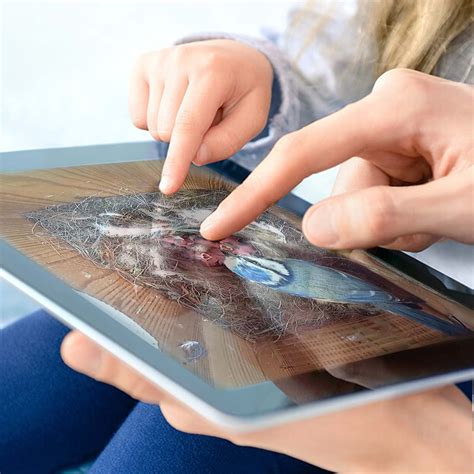 Wild mushrooms UK: How to identify mushrooms in your garden – Green ...