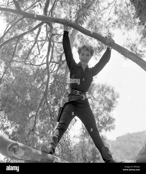 Kasey rogers hi-res stock photography and images - Alamy