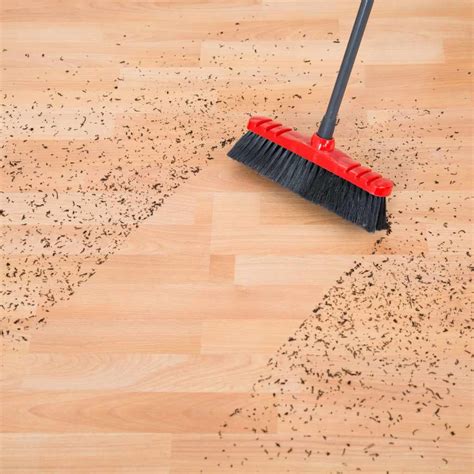 How to Wash Hardwood Floors the Right Way: A Simple Guide - Woodworking ...