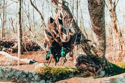 Hunting with Traps and Snares: Effective Game Capture