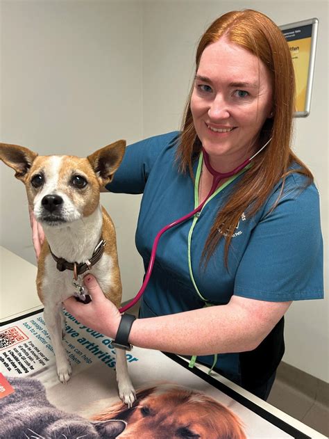 Wellness plans for pets - Vet Practice Magazine