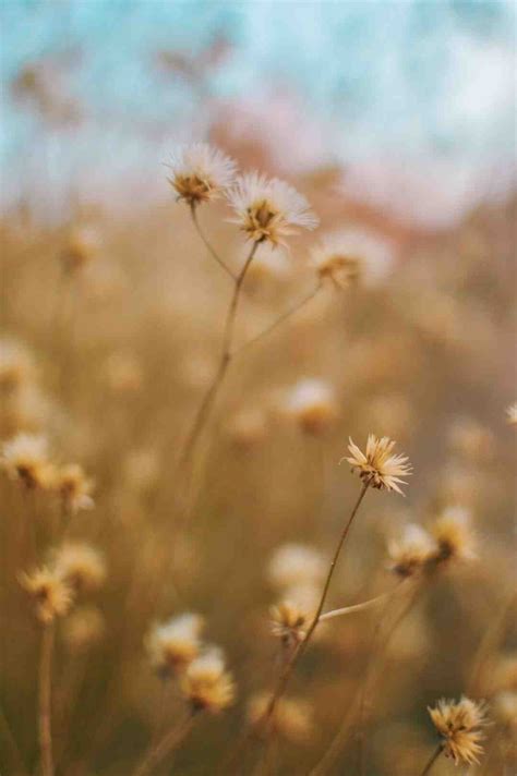 Stardew valley gus | Casual hardcore gamer