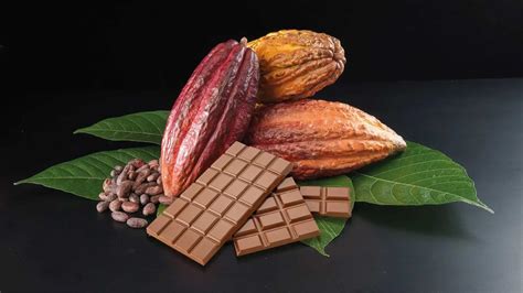 Detrás de la Volatilidad del Precio del Cacao: Causas Clave y su Impacto en la Cadena de Valor