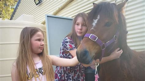 Sophie Logan Exclusive Porn Videos