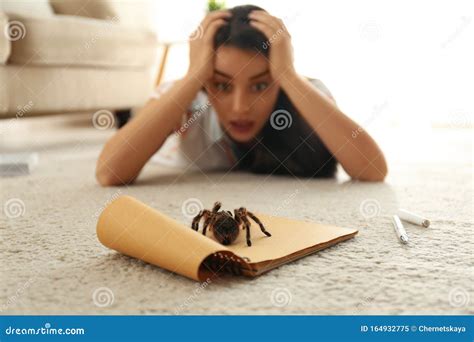 Young Woman and Tarantula. Arachnophobia Fear of Spiders Stock Image - Image of carpet, home ...