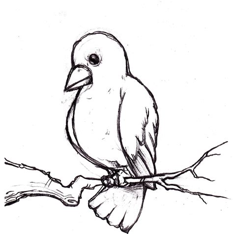 Bird Drawing For Kids at GetDrawings | Free download
