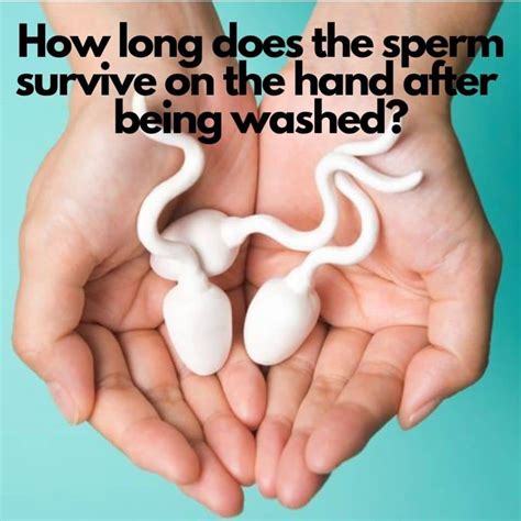 Does Drinking Hot Water Kill Sperm Cells at Stephanie Wolfe blog