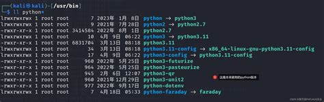 Kali Lane Exclusive Porn Videos